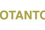 Logo Votantonio